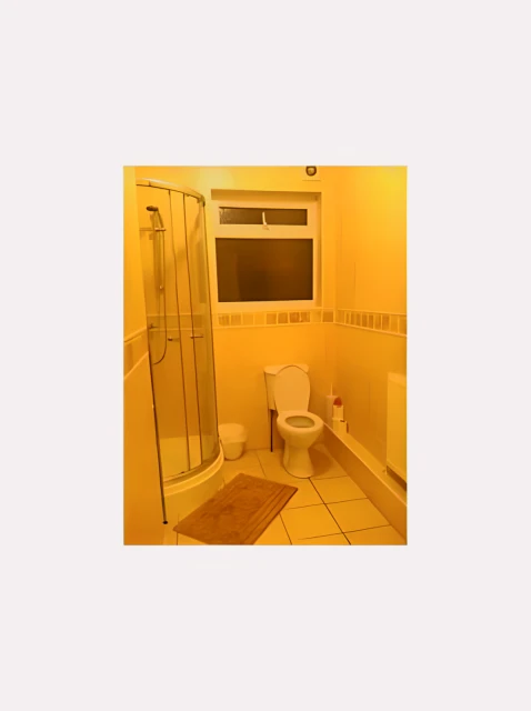 209 Lancing road S2 4