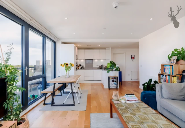 ST-905 Titanium Point