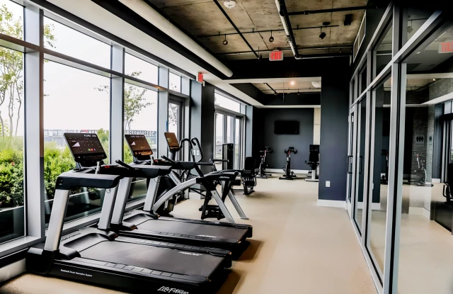 The Lanes At Union Market 1