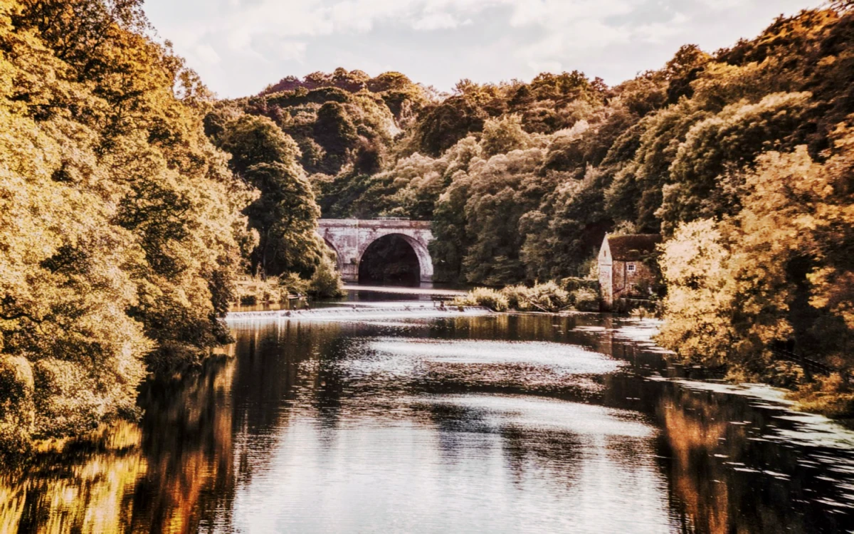 SL-Durham Riverview Residences 0