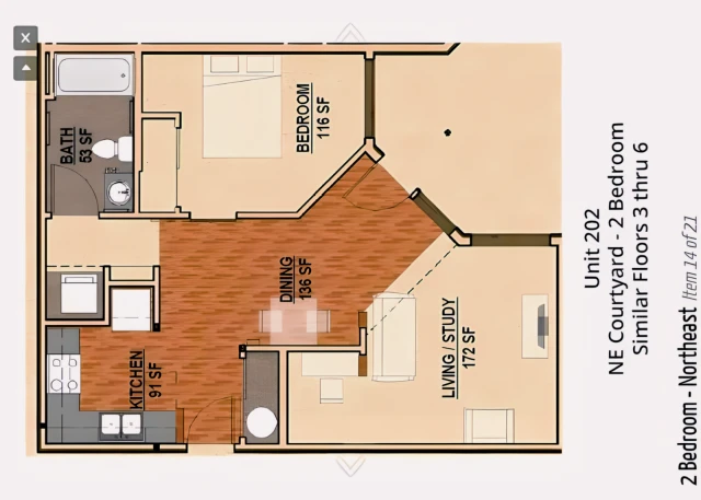 The Patterson Social 4