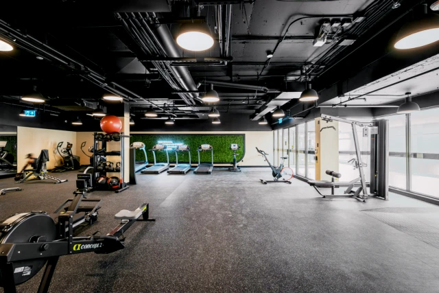 Maddox Cabbagetown 2