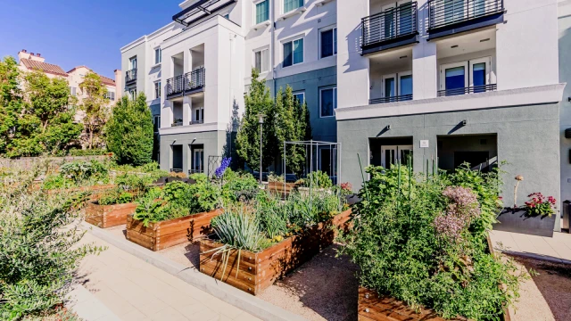 The Lark San Mateo 2