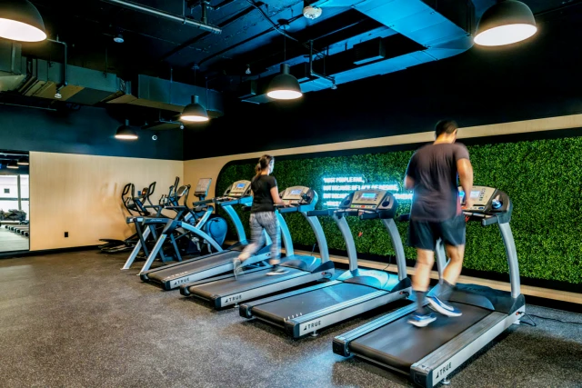 Maddox Cabbagetown 3