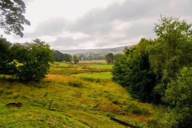 Ridgeway Cottage at Lovelady Shield 1