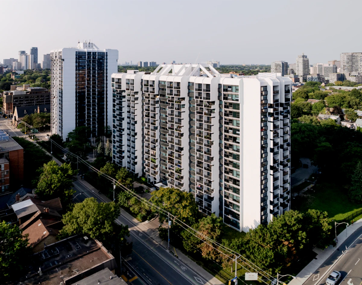 Maddox Cabbagetown 0