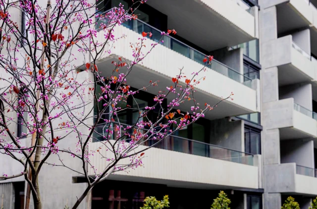 Urban Rest Home Richmond